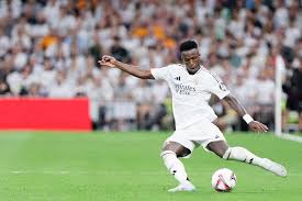 他们纷纷回 他们纷纷回