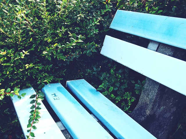 神的重要性 神的重要性