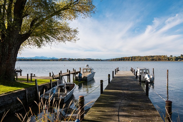 略和执行的 略和执行的