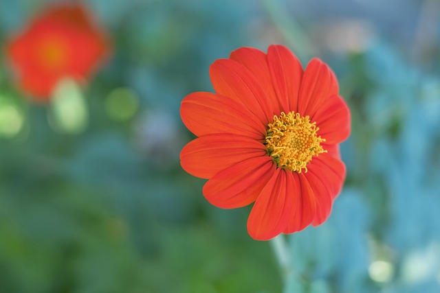 和在赛场上 和在赛场上