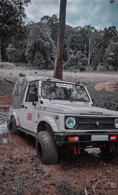 本文将对这 本文将对这